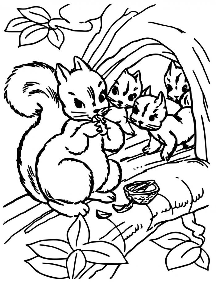 Free Squirrels Coloring Page coloring sheet and PDF to print