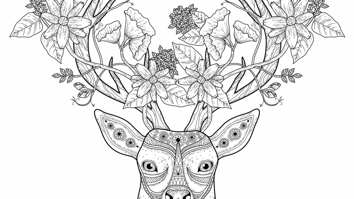 woodland caribou coloring pages