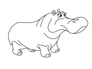 hippo standing